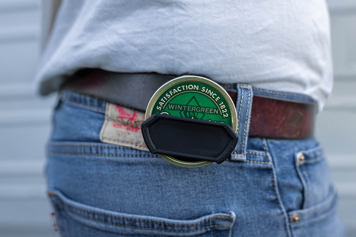 Dip Holster